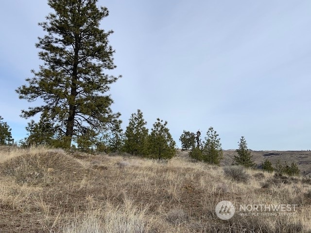 31805 Ruffed Grouse E Dr, Davenport WA, 99122 land for sale