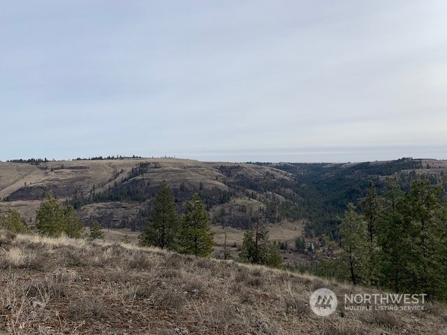 Listing photo 2 for 31805 Ruffed Grouse E Dr, Davenport WA 99122