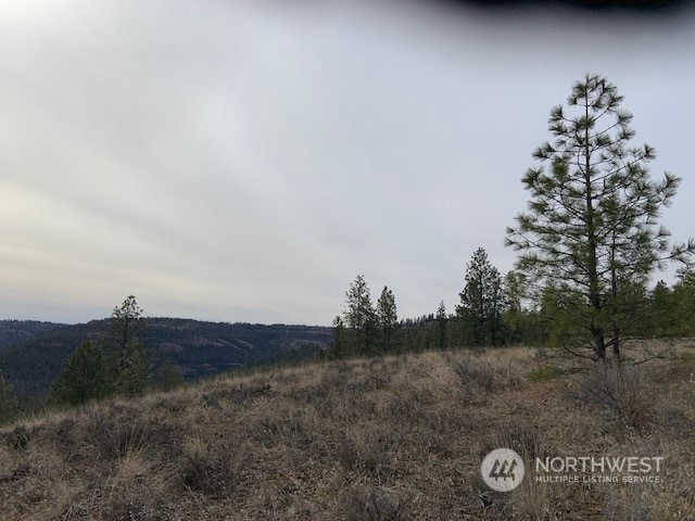 Listing photo 3 for 31805 Ruffed Grouse E Dr, Davenport WA 99122