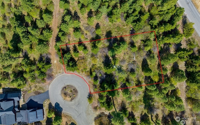 311 Rinky Dink Ln, Cle Elum, WA 98922