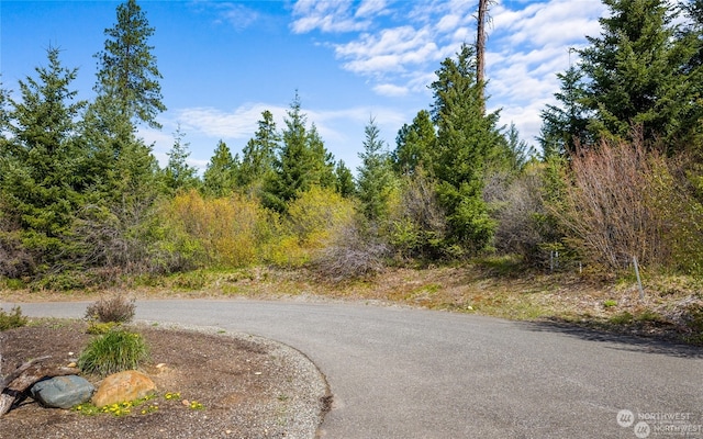 311 Rinky Dink Ln, Cle Elum, WA 98922