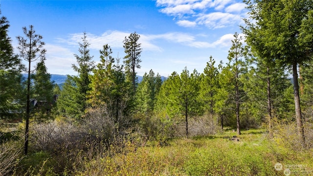 311 Rinky Dink Ln, Cle Elum, WA 98922