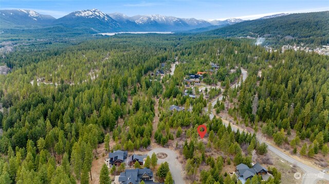 311 Rinky Dink Ln, Cle Elum, WA 98922