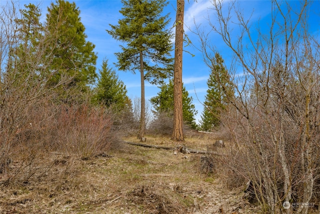 311 Rinky Dink Ln, Cle Elum, WA 98922