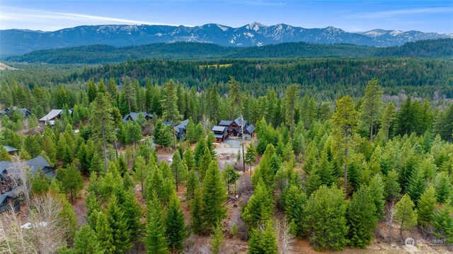311 Rinky Dink Ln, Cle Elum, WA 98922