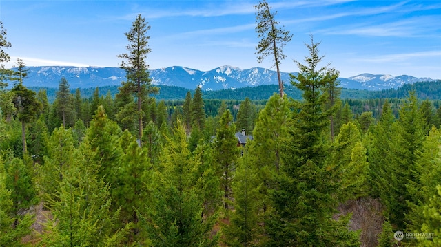 311 Rinky Dink Ln, Cle Elum, WA 98922
