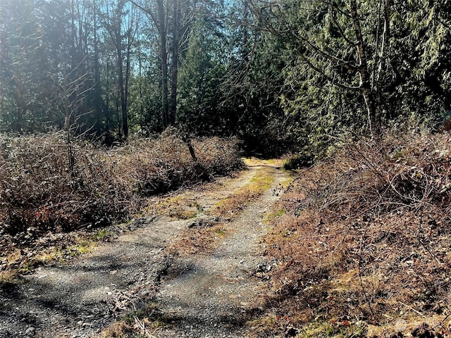 0 Reese Hill Rd, Sumas WA, 98295 land for sale