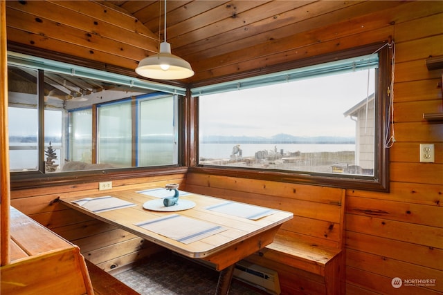 dining space featuring plenty of natural light, wooden walls, and a baseboard heating unit