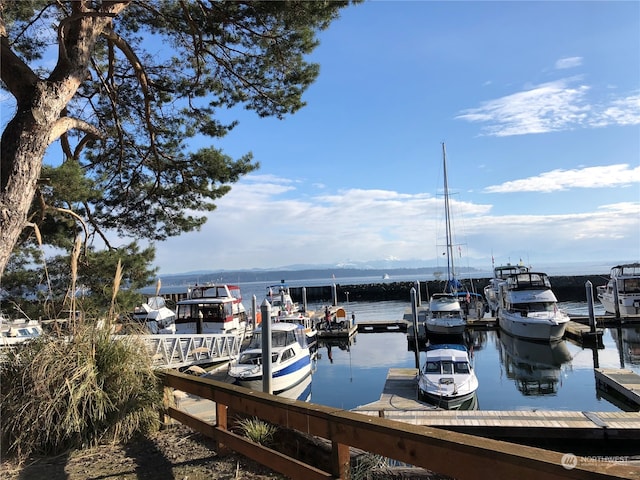 dock area featuring a water view