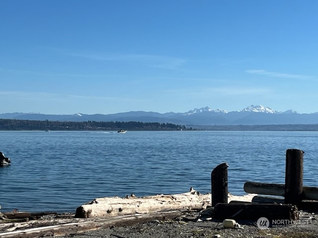 water view featuring a mountain view