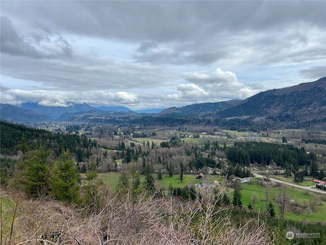 7505 US Highway 12, Morton WA, 98356 land for sale