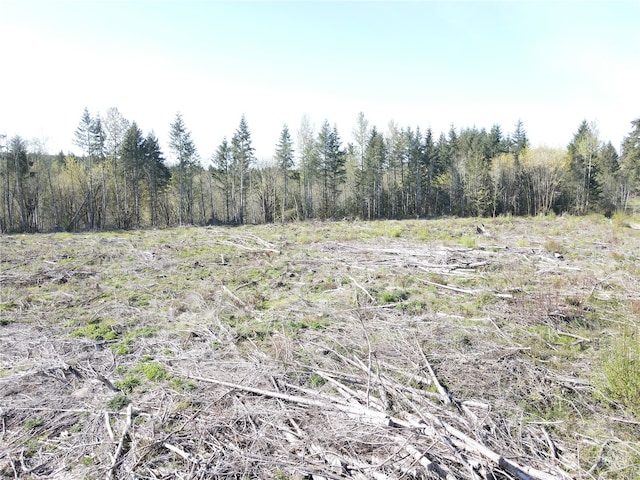 0 Telegraph Rd, Toledo WA, 98591 land for sale