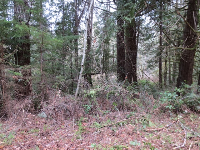 31 E Lakeshore Pl S, Shelton WA, 98584 land for sale