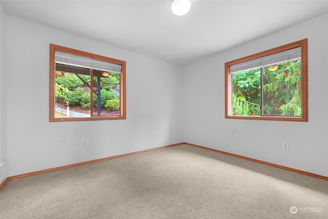 empty room with carpet flooring