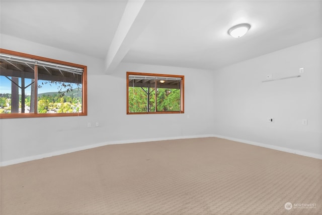 carpeted spare room featuring beam ceiling and a wealth of natural light