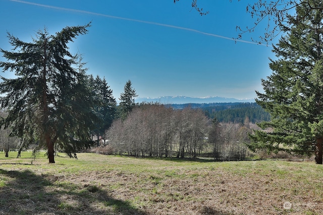 2903 Grimm Rd, Langley WA, 98260 land for sale