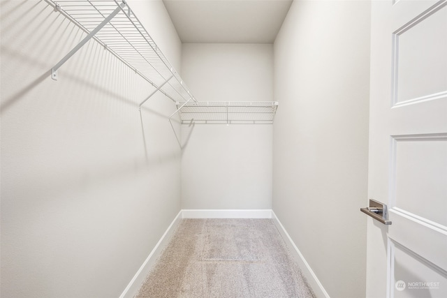 spacious closet with carpet flooring