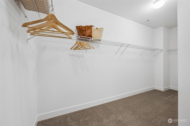 spacious closet with carpet flooring