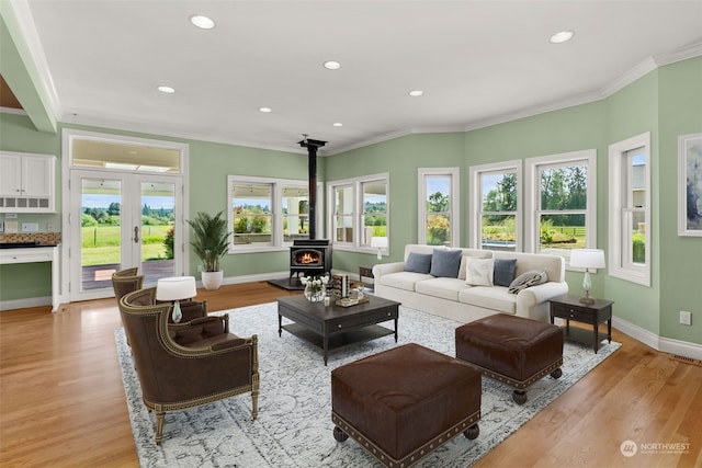 living room featuring a healthy amount of sunlight, a wood stove, and light wood-type flooring