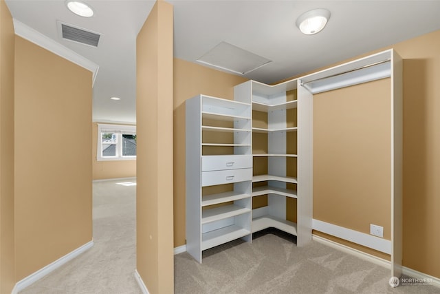 walk in closet with light carpet