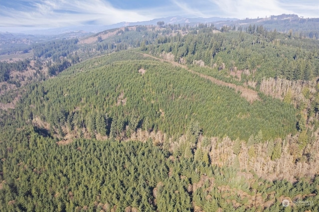 0 Cedar Mist, Amboy WA, 98601 land for sale