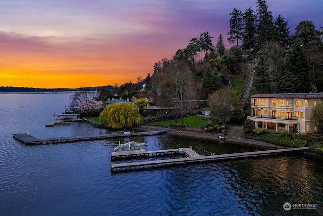 property view of water with a boat dock