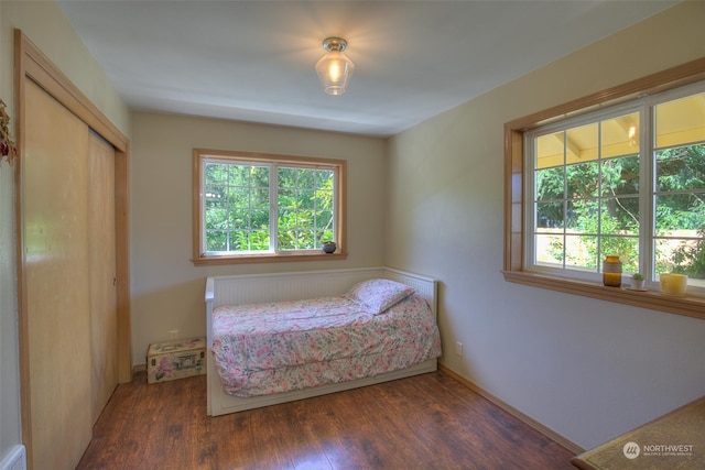 bedroom featuring a closet, dark wood-type flooring, and multiple windows