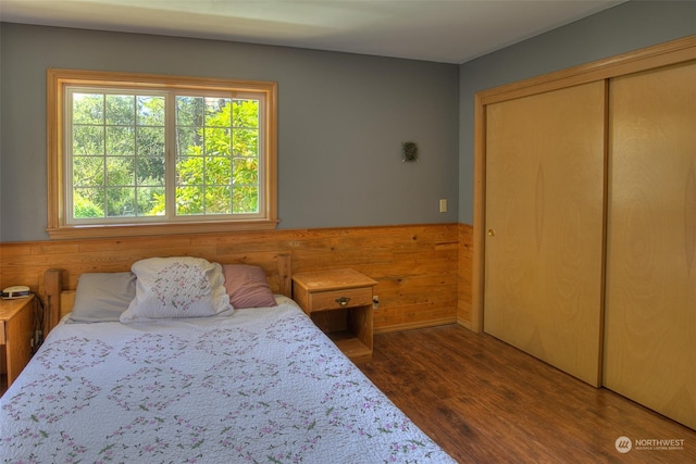 bedroom featuring dark wood-type flooring and a closet