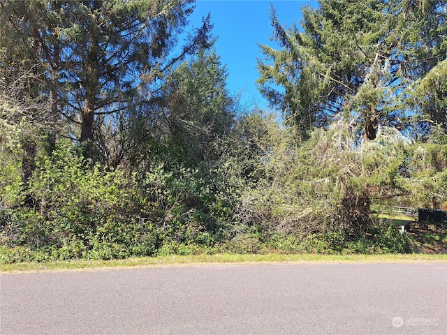 Listing photo 2 for 138 Cloquallum St SE, Ocean Shores WA 98569