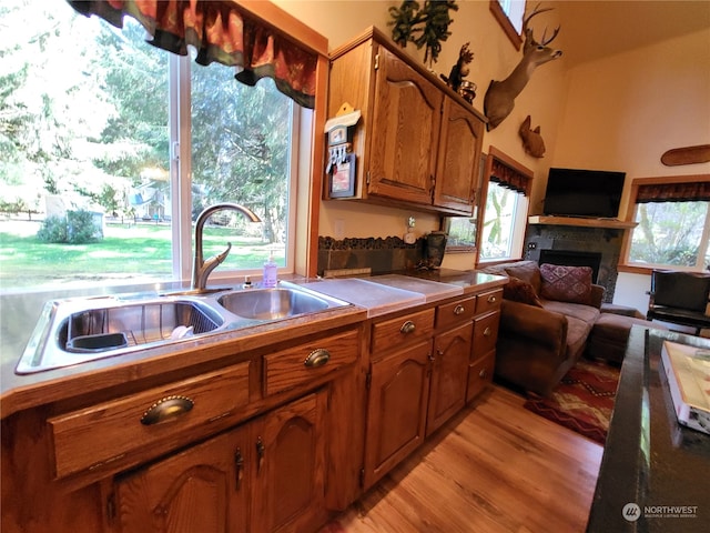 kitchen with light hardwood / wood-style floors and sink