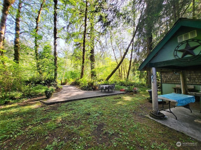 view of yard with a patio area