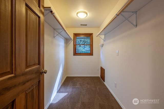 walk in closet with dark colored carpet