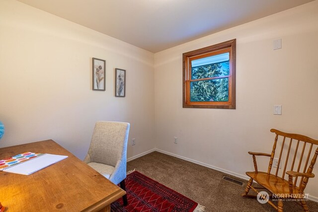 view of carpeted home office