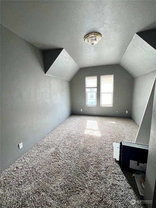 additional living space featuring lofted ceiling, carpet, and a textured ceiling