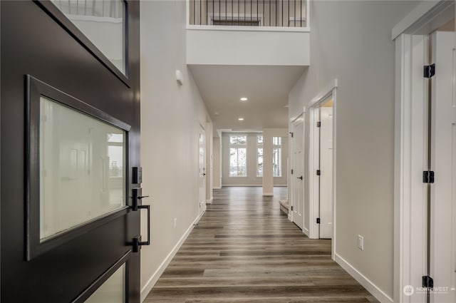 hall with dark hardwood / wood-style flooring and a high ceiling