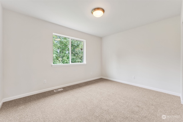 spare room with carpet