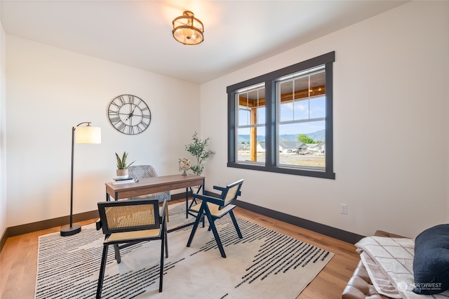 home office with hardwood / wood-style floors