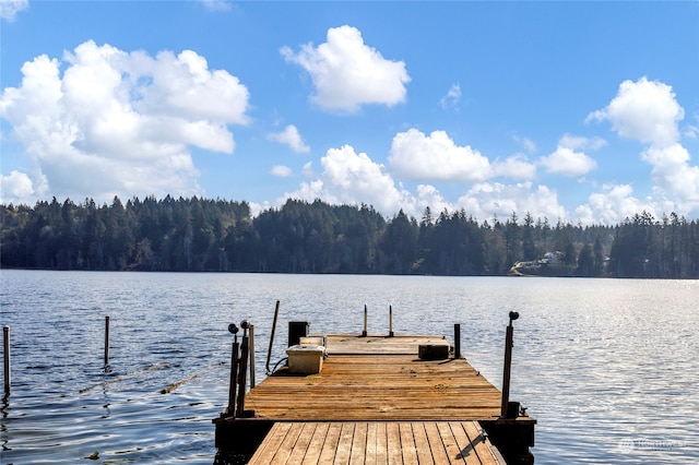 dock area with a water view