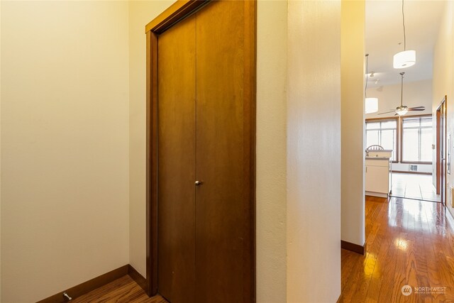 corridor with dark hardwood / wood-style floors