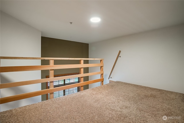 staircase with carpet flooring