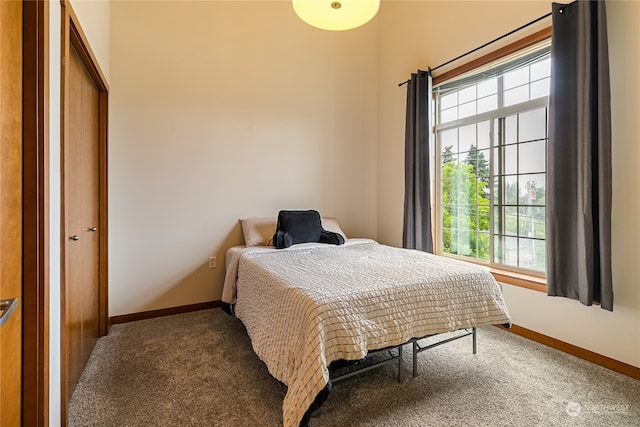 bedroom featuring carpet