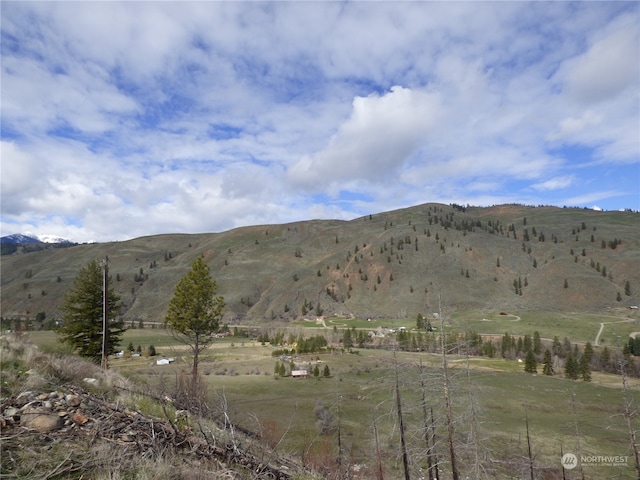 property view of mountains with a rural view