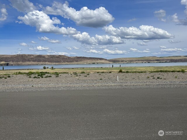311 Bridgeview Dr, Vantage, WA 99850 - photo 3