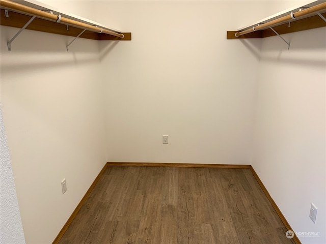 spacious closet with hardwood / wood-style floors