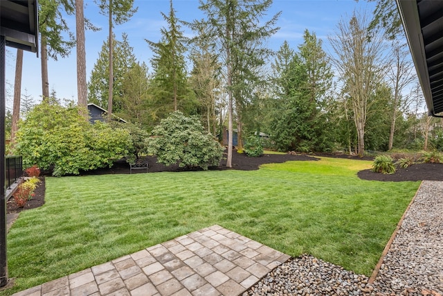 view of yard featuring a patio area