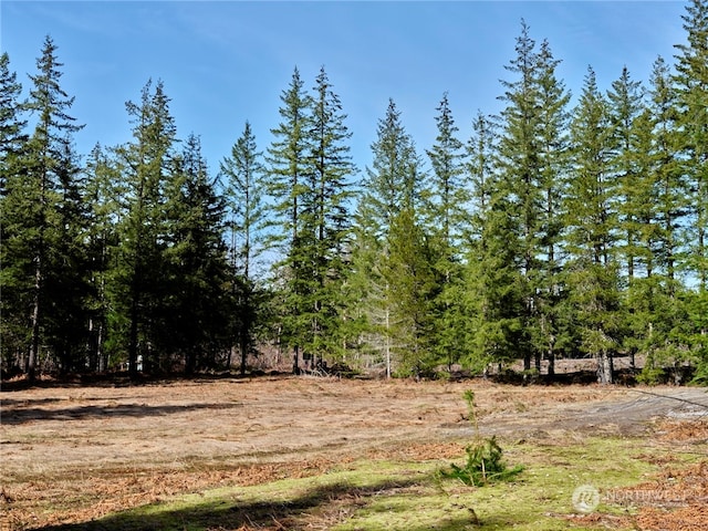 6 Loowit Ln, Cougar WA, 98616 land for sale