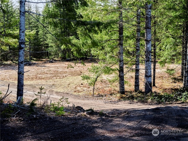 Listing photo 2 for 6 Loowit Ln, Cougar WA 98616