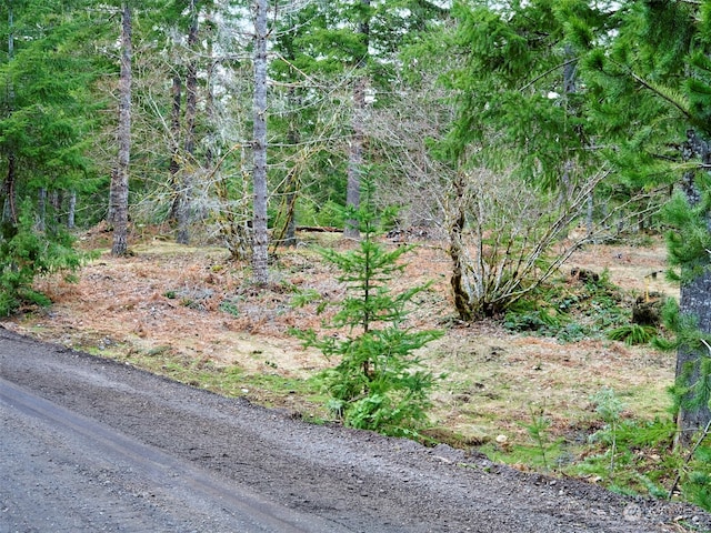 Listing photo 3 for 4 Loowit Ln, Cougar WA 98616