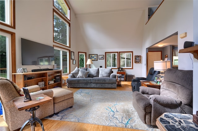 living room with a high ceiling and light hardwood / wood-style flooring