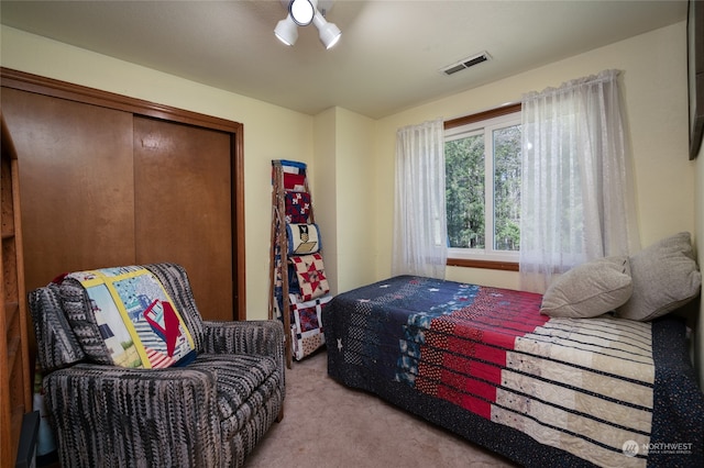 bedroom featuring a closet and light colored carpet